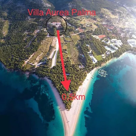Aurea Palma