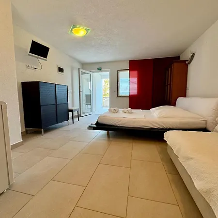 Aurea Palma Gasthuis Bol