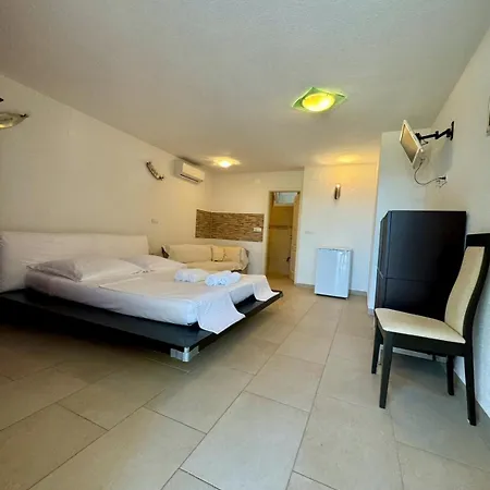 Aurea Palma Gasthuis Bol