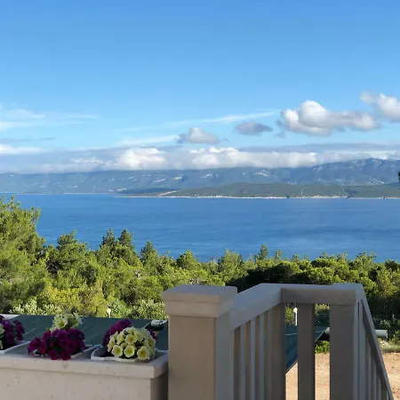 Aurea Palma Gasthuis Bol